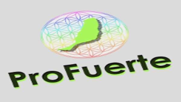 ProFuerte Alquiler, Bicicleta, Curso, Kayak, Kite, SUP, Surf, Tour, Windsurf (La Oliva Corralejo Fuerteventura Islas Canarias España)